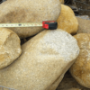 Lemon Cove Cobble Stones