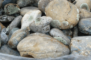 Moss Rock Lichen Cobble Stones