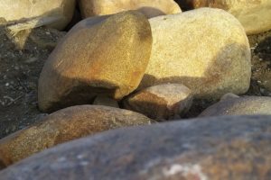 Moss Rock - Rosenbalm Rockery